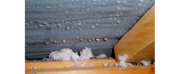 Влажность в деревянном доме