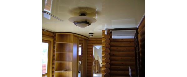 Какой потолок выбрать для деревянного дома